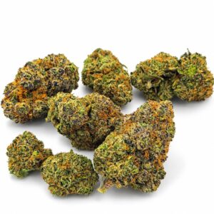 Purple Wiz cannabis buds arranged on white background showing frosty trichomes and orange hairs