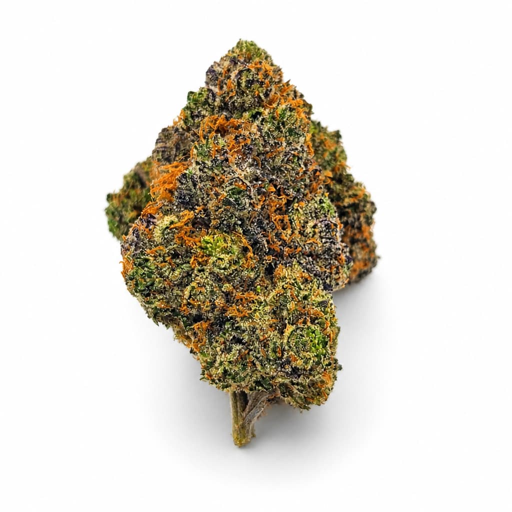 Purple Wiz single dense frosty cannabis bud with amber pistils on clean white background