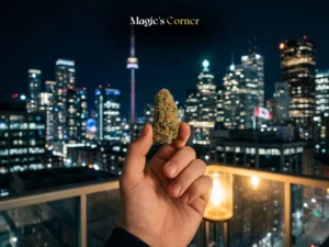 Cannabis in Canada