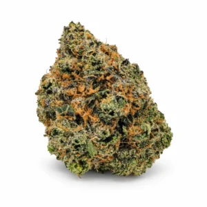 AAA Darth Vader OG, a single dense dark green and purple cannabis bud with orange hairs and frosty trichomes on a white background