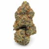 AAA Zkittlez cannabis bud, dense green and purple with orange hairs and frosty trichomes on a white background