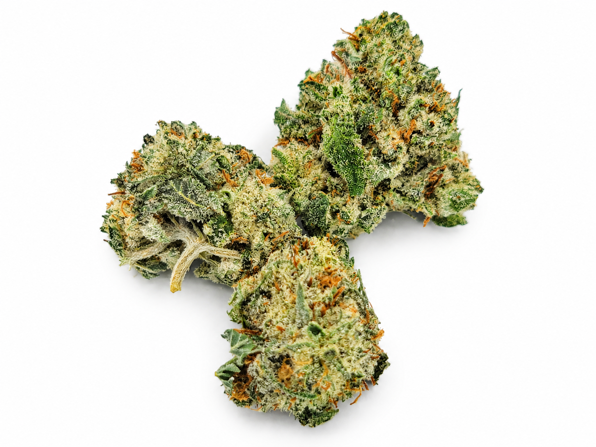 Three AAA Donkey Butter mini cannabis buds with orange hairs and frosty trichomes on a white background
