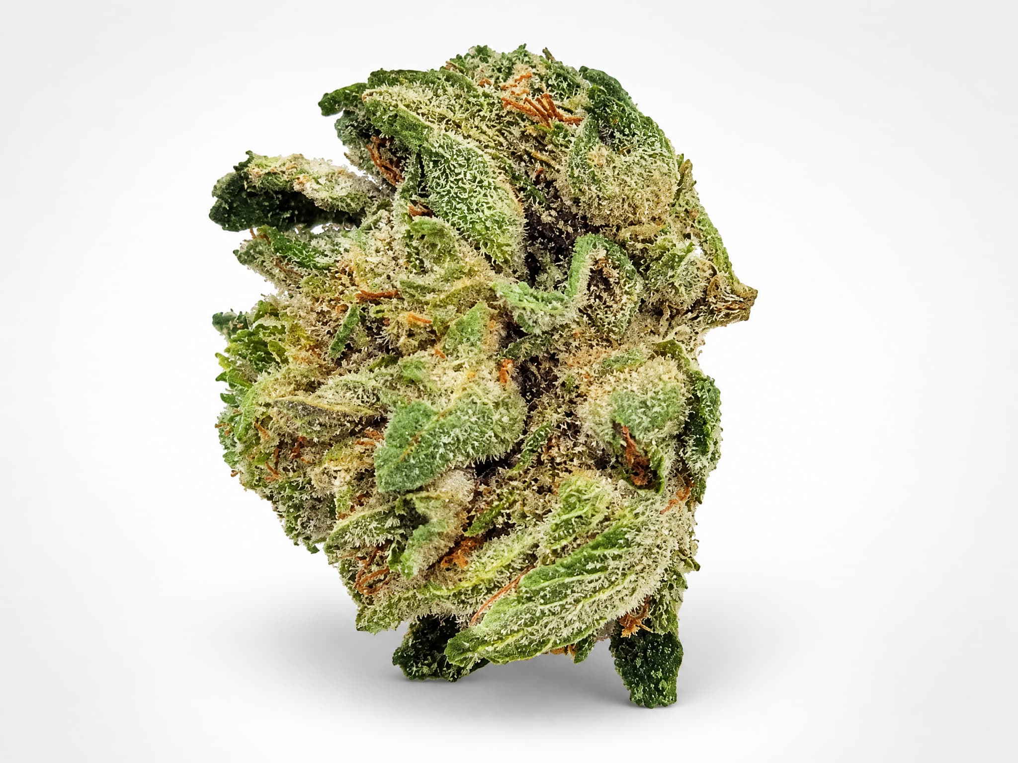 Death Bubba Smalls indica flower single bud close-up