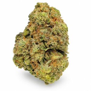 Laundry List strain indica flower single bud close-up