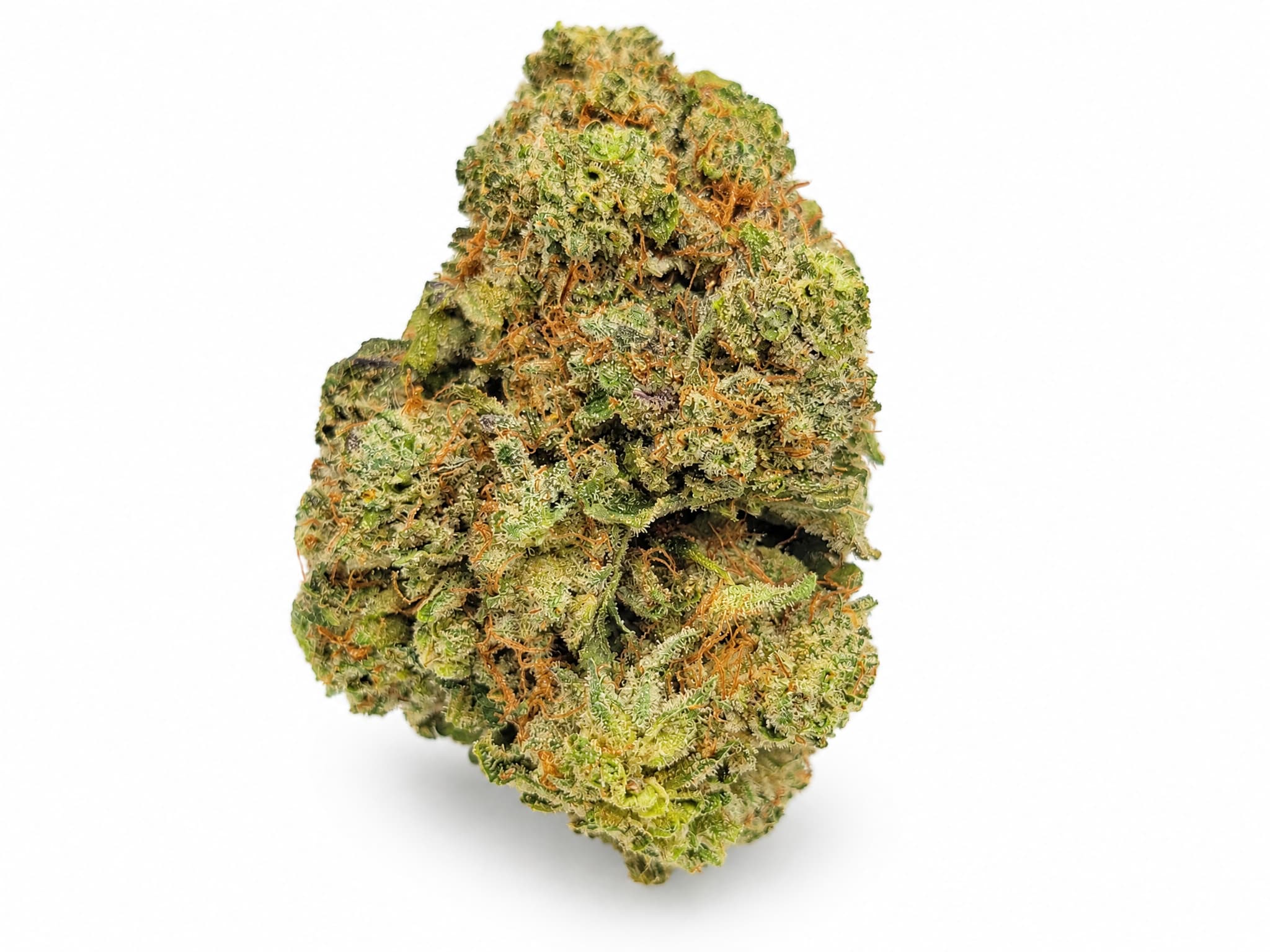 Laundry List strain indica flower single bud close-up