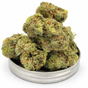 Laundry List strain flower buds in a tin