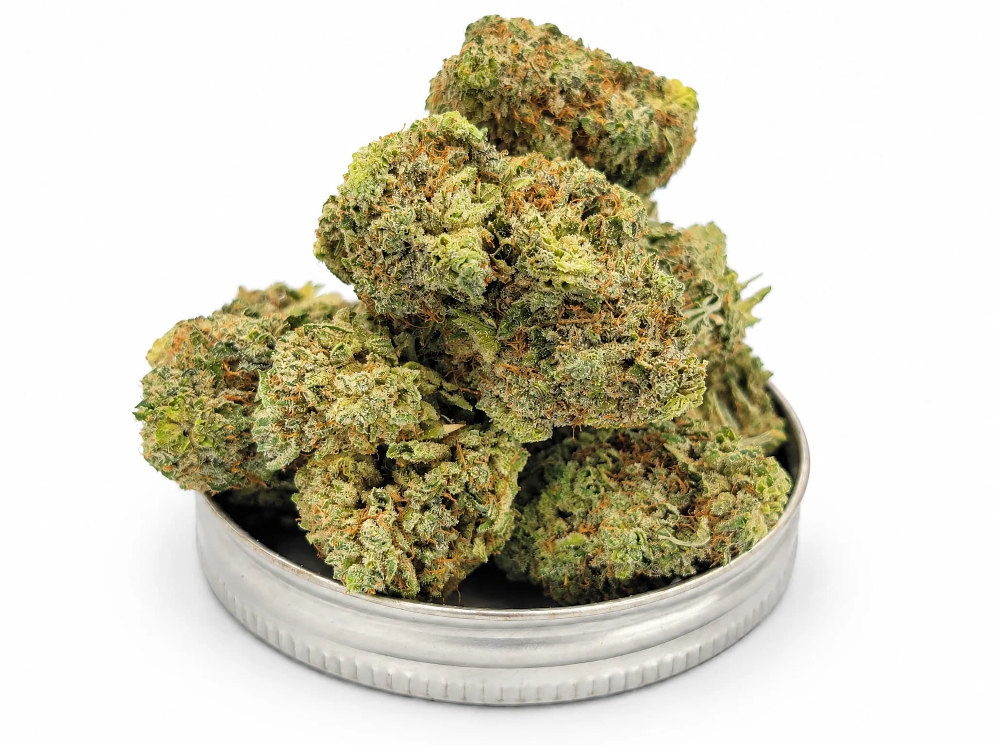 Laundry List strain flower buds in a tin