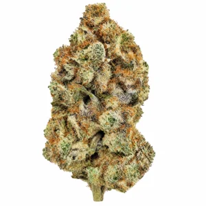 Single AAA Pink Bubba cannabis bud with frosty trichomes on a white background