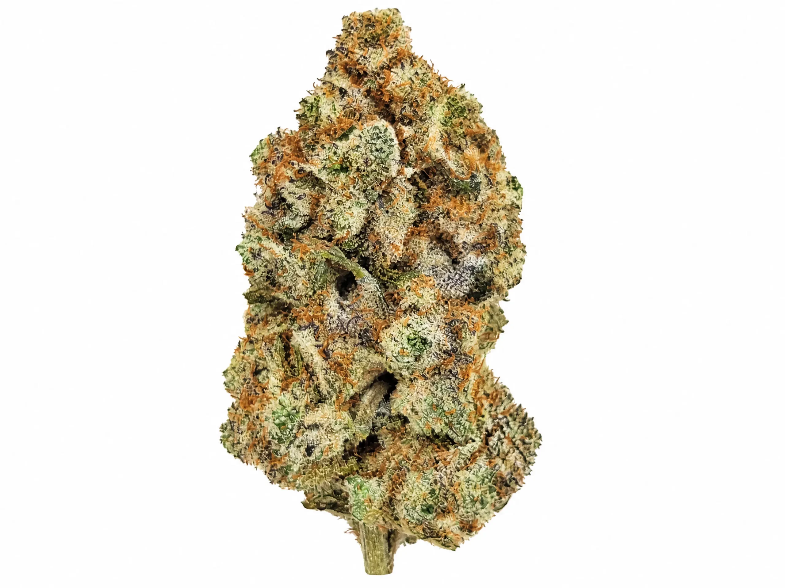 Single AAA Pink Bubba cannabis bud with frosty trichomes on a white background